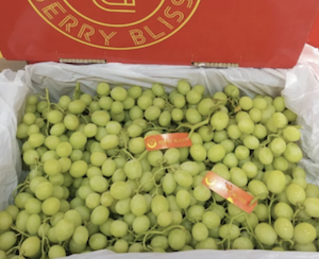 องุ่นเขียวไร้เมล็ด นำเข้าจากออสเตรเลีย