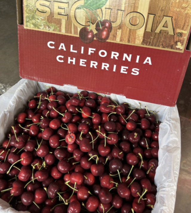 เชอรี่อเมริกา