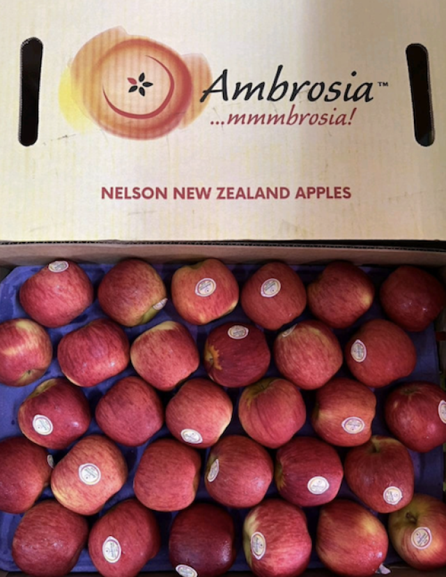 แอปเปิ้ลแอมโบเชีย