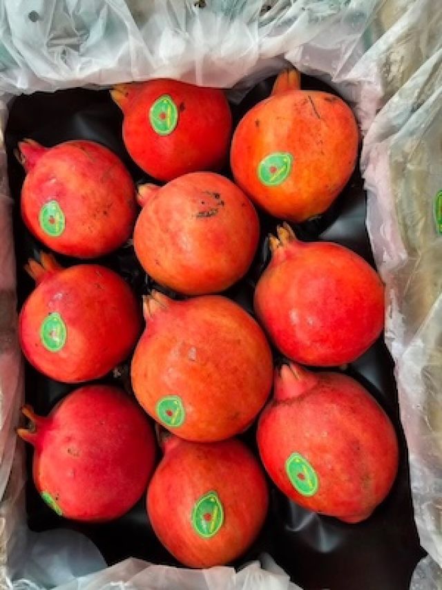 ทับทิม อินเดีย