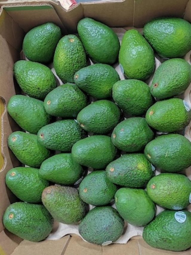 อะโวคาโด พันธุ์แฮส
