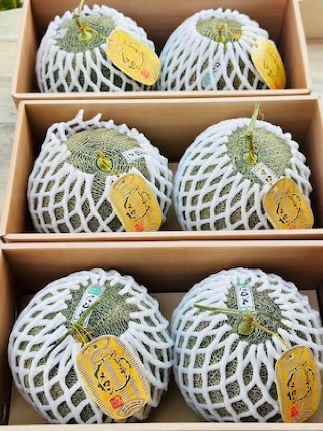 Melon ญี่ปุ่น