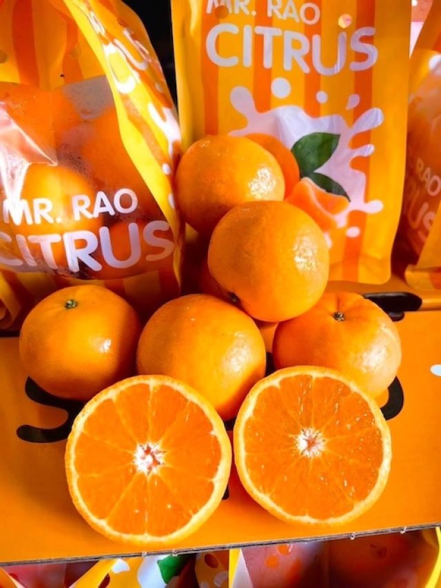 ส้มไต้หวัน รุ่นถุง ไร้เมล็ด